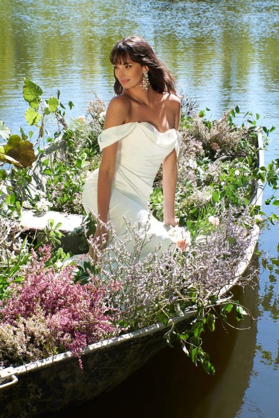 Begonia by Sincerity